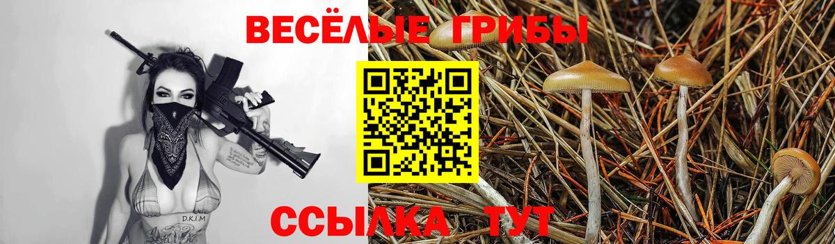 Галлюциногенные грибы Psilocybine cubensis  Вход с VPN  Тутаев 