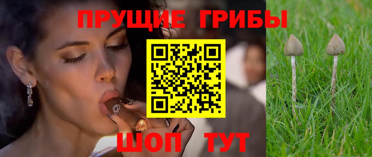 Галлюциногенные грибы мухоморы Тутаев